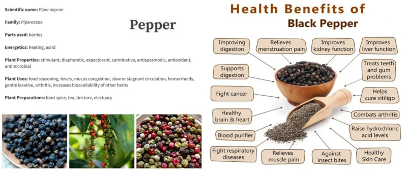 Black Pepper - Image 5